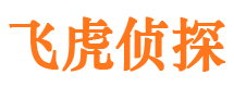 田阳市私家侦探